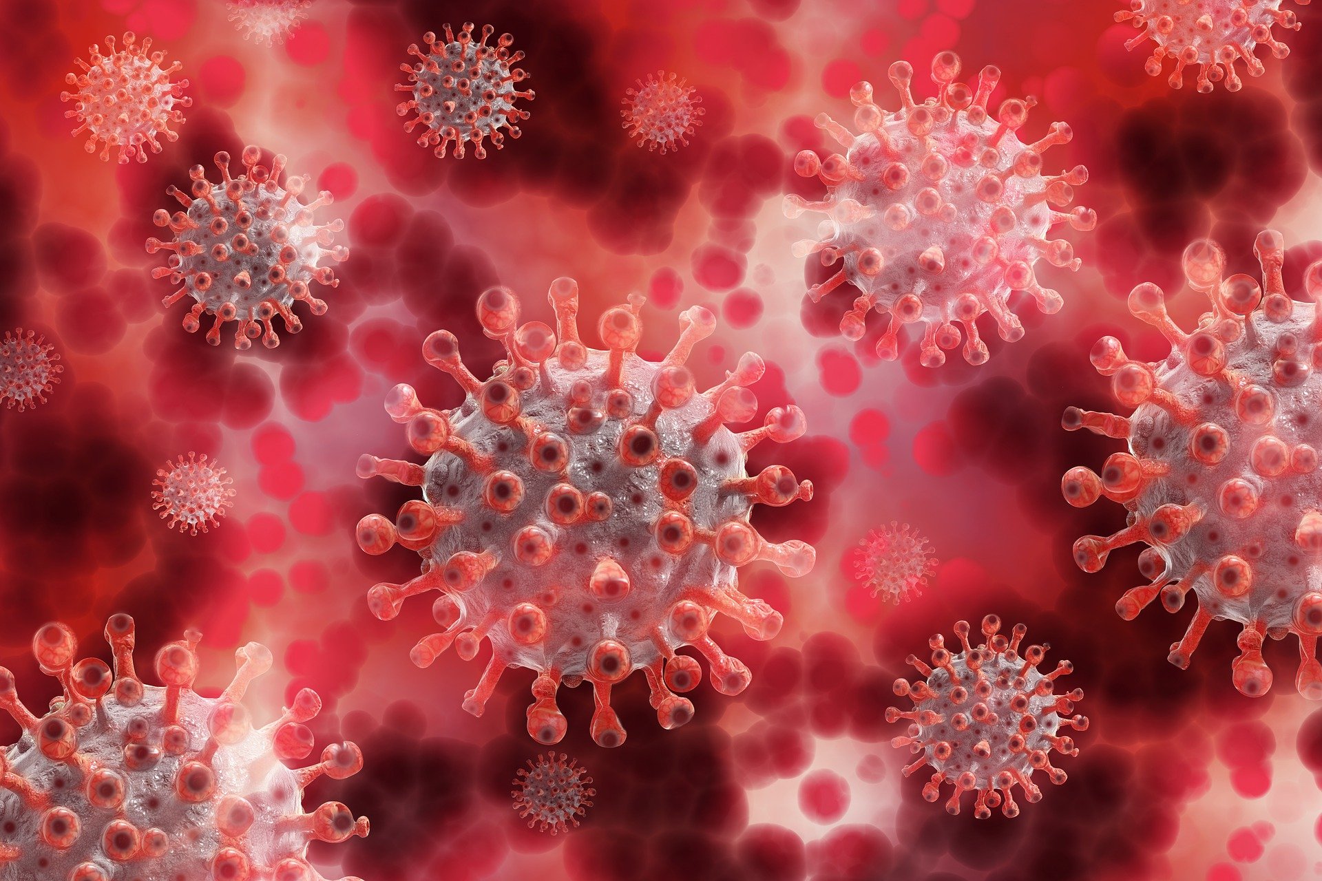 Новый стандарт измерения антител к коронавирусу в единицах BAUForPost .